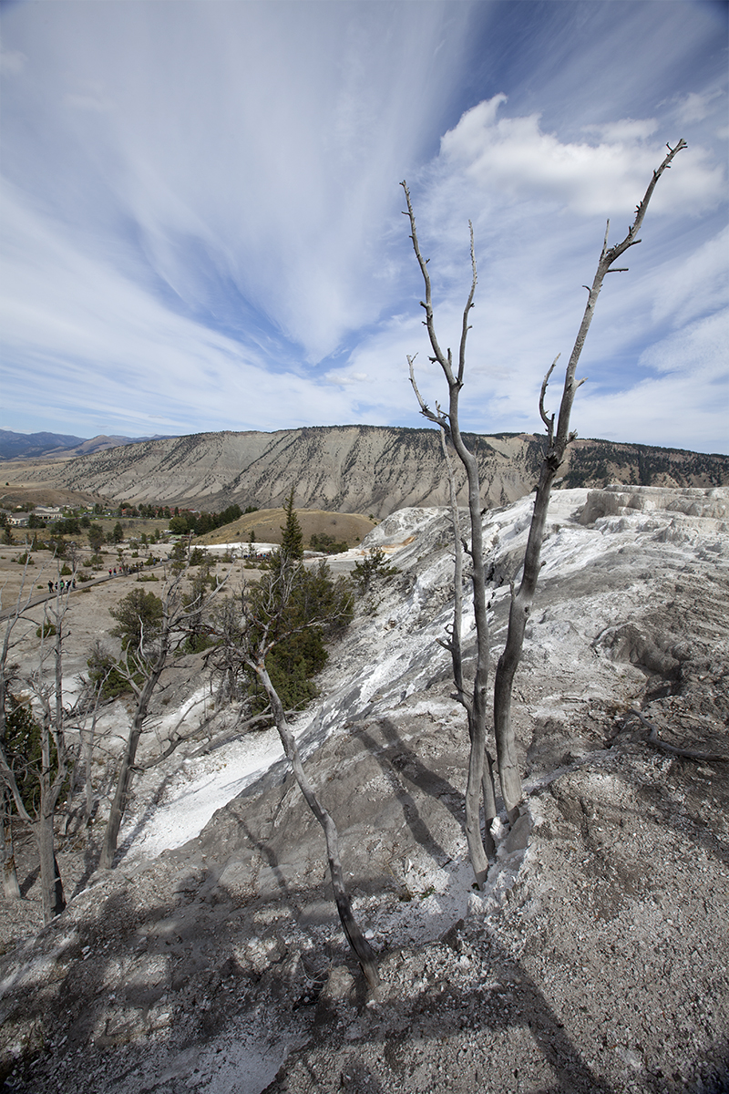 Mammoth springs1