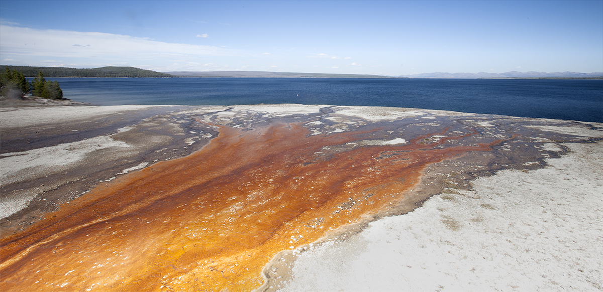 West Thumb Basin3