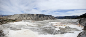 Mammoth Hot Springs top plateau