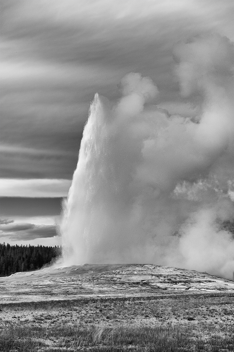 old faithful